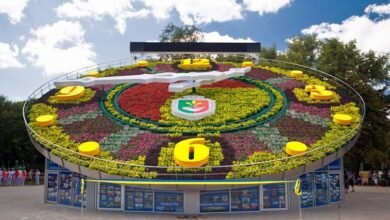 Історія найбільшого квіткового годинника Європи, який встановили на Дніпропетровщині (Відео)