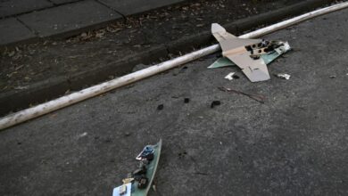 На Дніпропетровщині уламки російського БпЛА впали на подвір'я приватного будинку і розлетілися на шматки (Відео)