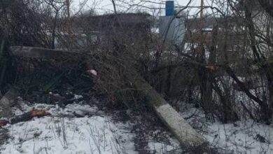 На Дніпропетровщині шукають горе-водія, який не поділив дорогу зі стовпом та деревами (Фото)