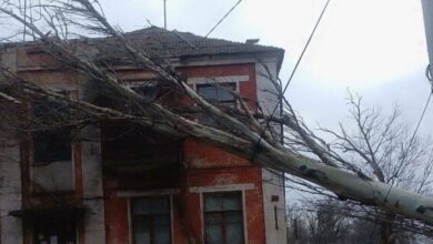 На Дніпропетровщині буря повалила велетенську тополю на житловий будинок (Фото)