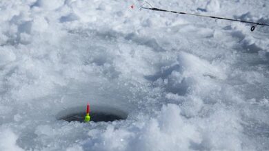 У Дніпрі рибалки виходять на кригу в плюсову температуру заради улову (Фото)