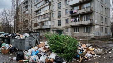 У Дніпрі знайшли "сміттєвий куточок", який прикрашає викинута ялинка (Відео)
