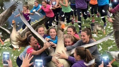 У Дніпрі гусаків з яхт-клубу "Січ" знову зробили "жертвами" контенту для соцмереж: що сталося (Відео)