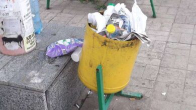 У Дніпрі з житломасиву місяцями не вивозять сміття: подвір'я перетворилися на звалища (Відео)