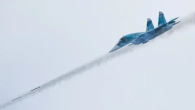 Російські окупанти знищили КАБами майже все село на Дніпропетровщині (Відео)
