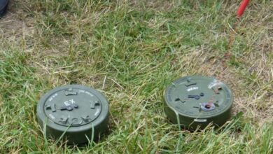 Росіяни скидають міни на прифронтові райони Дніпропетровщини, маскуючи їх сіном (Фото)