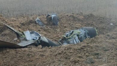 На Дніпропетровщині посеред поля знайшли збиту ППО крилату російську ракету (Відео)