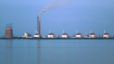 Біля тимчасово окупованої ЗАЕС російський дрон убив чоловіка: заява МАГАТЕ