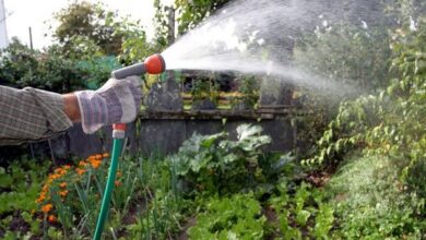 Скільки у Дніпрі доведеться платити за воду власникам приватних будинків у поливний сезон