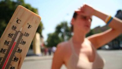 Погода у Дніпрі з наступного тижня: місто накриє спека до +30°C