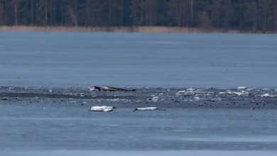 На берег Дніпра винесло крило російського "шахеда" (Відео)