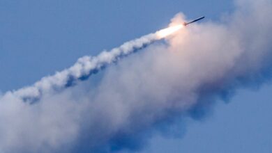 У Києві показали видовищне перехоплення російської крилатої ракети над головою оператора (Відео)