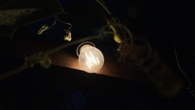 Через російські обстріли в 6 регіонах України перебої з електроенергією: серед них - Дніпропетровщина