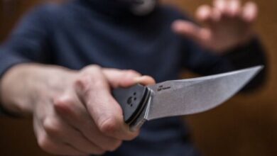 У Житомирі поліцейські показали, як затримали військового у СЗЧ, що поранив ножем двох людей (Відео)