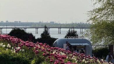 Від бузку до пухнастих кульбаб: як у травні квітне лівий берег Дніпра (Фото)