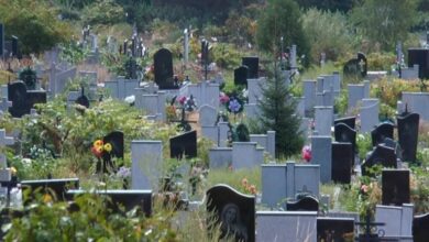 Росіяни атакували кладовище на Дніпропетровщині: посеред пам'ятників утворилася вирва (Відео)