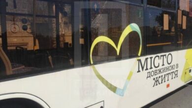 Напад газонокосарки на тролейбус