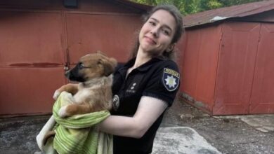 У Дніпрі поліцейські та рятувальники провели спецоперацію з порятунку 7 цуценят, які впали у яму (Відео)