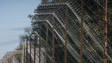 У місті на Дніпропетровщині антидронові сітки перетворили дороги на лабіринт (Відео)