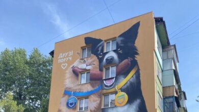 На Дніпропетровщині знесуть зону відпочинку, яку підприємець незаконно збудував на землях лісового фонду (Відео)