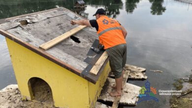 У місті на Дніпропетровщині оновили будиночки для водоплавних птахів, що створювалися як експеримент, а стали домівкою (Фото)