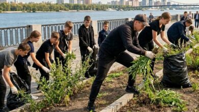 У місті на Дніпропетровщині вандалів запрошують рвати бур'яни: що сталося (Відео)