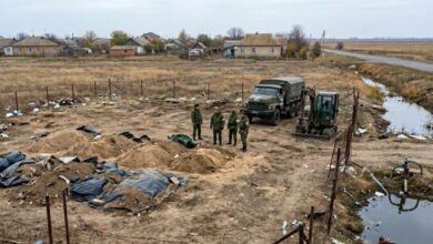 Росіяни намагаються влаштувати спалах сибірської виразки на окупованій частині Херсонщини - ГУР