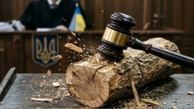 У Дніпрі постане перед судом банда дереворубів, яка за пів року винищила ліси міста на 2 млн грн (Фото)