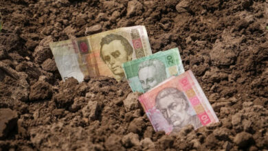 На Дніпропетровщині депутат сільради не задекларував 100 га земельних ділянок на майже 3 млн грн