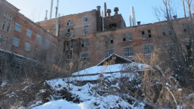 На Дніпропетровщині на аукціоні за зниженою ціною продали збанкрутілий завод-гігант (Фото)