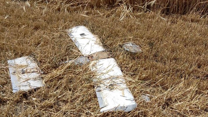 На Дніпропетровщині аграрії збирають врожаї пшениці під російськими обстрілами: від атак згоріло понад 30 га (Фото)