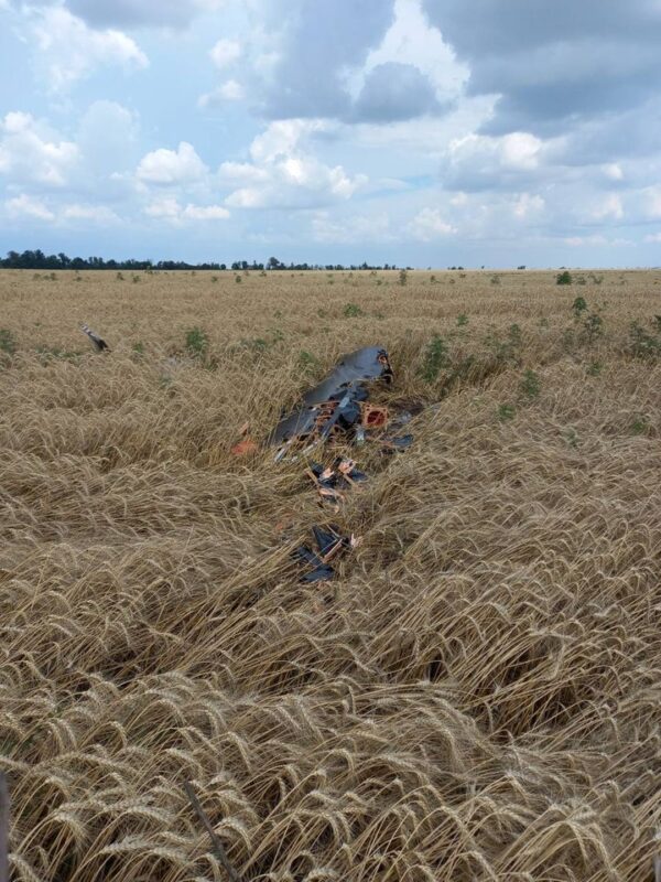 На Дніпропетровщині аграрії збирають врожаї пшениці під російськими обстрілами: від атак згоріло понад 30 га (Фото)