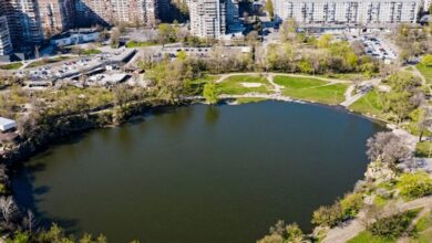 У Дніпрі мешканців закликають не купатися у популярному кар'єрі: є ризик алергій та інфекцій (Фото)