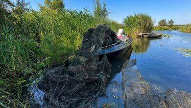 На Дніпропетровщині невідомі наловили майже 1140 раків і не встигли витягнути з водойми (Фото)