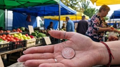 На Дніпропетровщині на ринку з дівчиною розрахувалися російською монетою, випущеною після 2022 року (Фото)