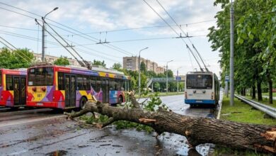 У місті на Дніпропетровщині коротке замикання паралізувало рух тролейбусів (Відео та Фото)