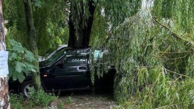 У Дніпрі негода "поховала" автомобіль під величезною вербою (Фото)