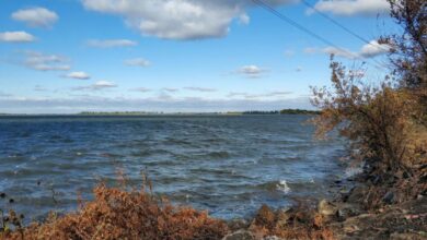 На Дніпропетровщині підприємство незаконно користувалося водосховищем у понад 1500 га і прилеглою ділянкою