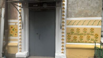У Дніпрі художниця прикрашає яскравими стінописами район, який має славу "депресивного" (Фото)