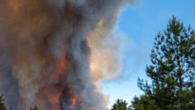 У місті на Дніпропетровщині сильна задимленість: вирує масштабна пожежа (Фото)