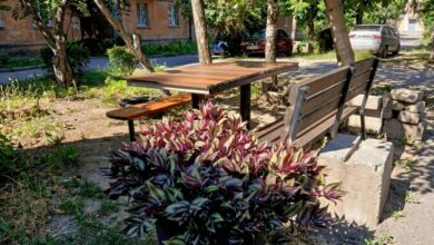 У дворі Дніпра висадили флористичний куточок із різноманітних видів квітів (Фото)