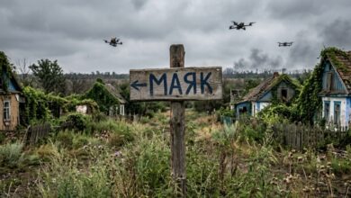 Забуті під обстрілами: у прифронтовому селищі Дніпропетровщини двоє останніх мешканців опинилися на межі голоду (Відео)