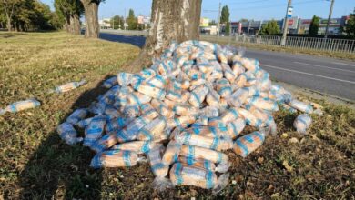 У Дніпрі під деревом знайшли величезну купу хліба: що сталося (Фото)