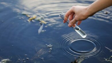 У водоймі на Дніпропетровщині виявили збудник інфекції: де заборонили купатися