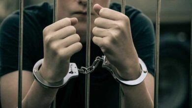 Жінка з Дніпропетровщини змусила неповнолітнього сина вбити бабусю по татовій лінії: який вирок винесли підлітку (Відео)