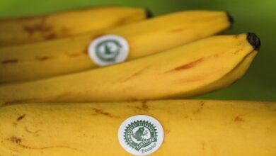 Чому українцям варто купувати продукти з наліпкою у вигляді жаби і що вона означає (Фото)