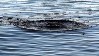 На Дніпропетровщині у водоймі знайшли мертвим 22-річного хлопця (Фото)