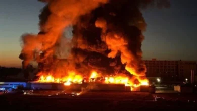 На Київщині росіяни знищили завод популярного виробника мівіни та склад дитячих іграшок (Фото)