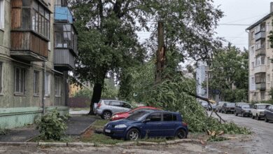 Ураган "допоміг" комунальникам: де у Дніпрі дерева впали на автомобілі через запізнілу обрізку (Фото)