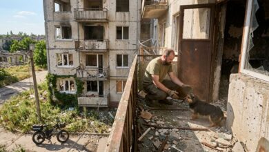 На Дніпропетровщині волонтер урятував собаку, який застряг на балконі розбомбленої росіянами багатоповерхівки (Відео)